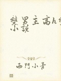 双男主高h双性小说