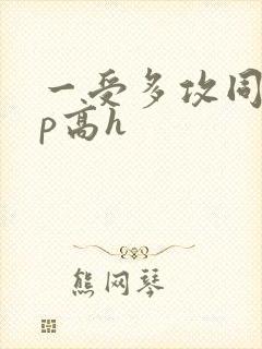 一受多攻同时np高h封面