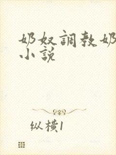 奶奴调教奶头的小说