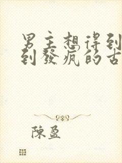 男主想得到女主到发疯的古言