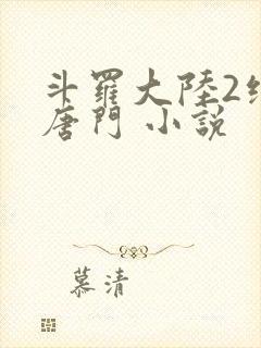 斗罗大陆2绝世唐门 小说