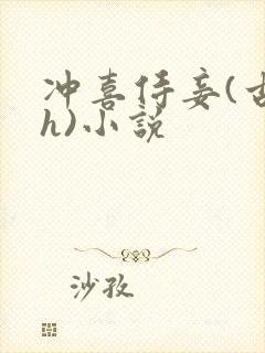 冲喜侍妾(古言h)小说