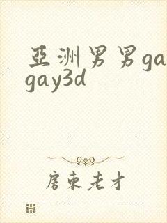 亚洲男男gaygay3d