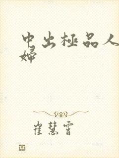 中出极品人妻少妇