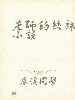 老师的丝袜足奴小说