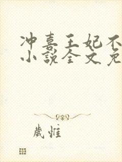 冲喜王妃不好惹小说全文免费阅读