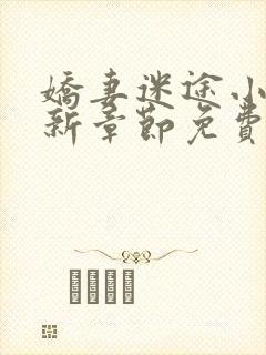 娇妻迷途小说最新章节免费阅读