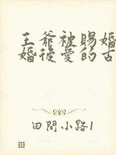 王爷被赐婚的先婚后爱的古言小说