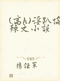 (高h)淫趴伦辣文小说