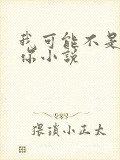 我可能不是在等你小说