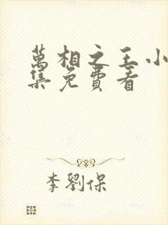 万相之王小说全集免费看封面