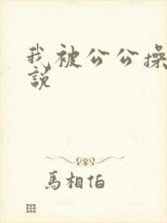 我被公公操了小说