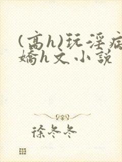 (高h)玩淫病娇h文小说