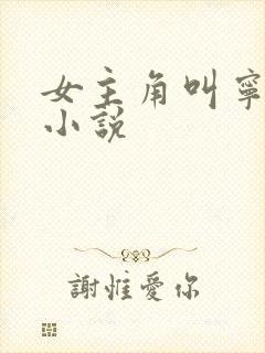 女主角叫宁曦的小说