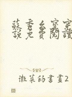 苏秀幺宝穿越小说免费阅读笔趣阁