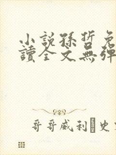 小说孙哲免费阅读全文无弹窗封面