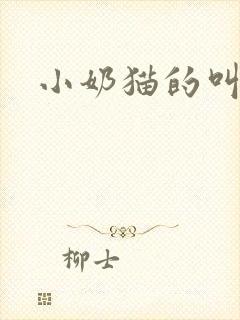 小奶猫的叫声封面