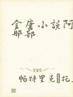 金庸小说阿青是哪部