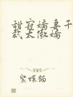 甜宠娇妻千亿总裁太傲娇封面