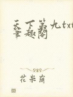 天下第九txt笔趣阁