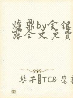 炉鼎by金银花露全文免费阅读笔趣阁