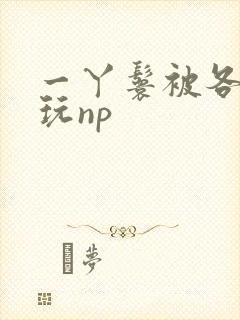 一丫鬟被各大臣玩np