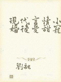 现代言情小说先婚后爱甜宠封面