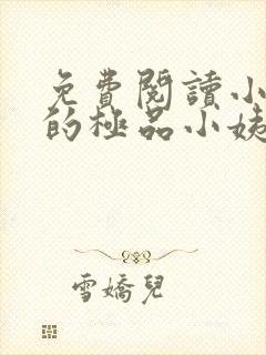 免费阅读小说我的极品小姨