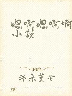 嗯啊嗯啊啊啊啊小说