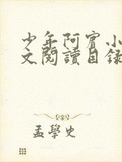 少年阿宾小说全文阅读目录封面