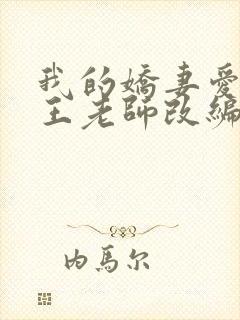 我的娇妻爱女与王老师改编哪部小说