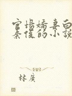 官场娇妻白芸和秦俊的小说封面