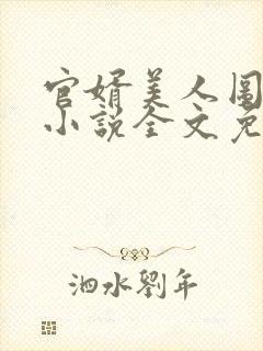 官婿美人图安江小说全文免费阅读