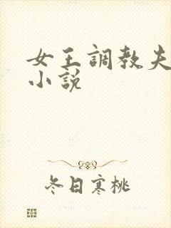 女王调教夫妻奴小说