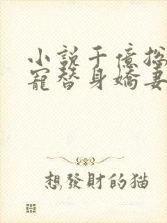 小说千亿总裁独宠替身娇妻