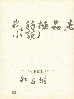 我的极品老婆(小说)封面