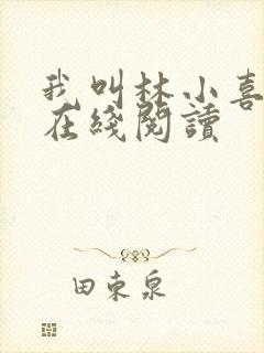 我叫林小喜小说在线阅读