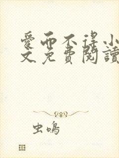 爱而不得小说全文免费阅读