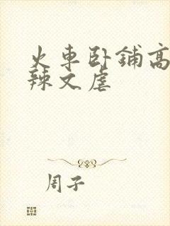 火车卧铺高h肉辣文虐