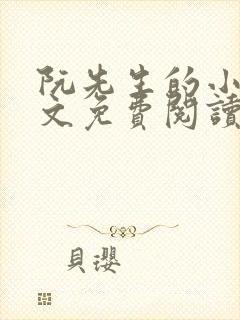 阮先生的小说全文免费阅读无弹窗