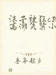 沫子被狂c躁到高潮失禁小说