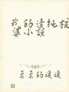 我的清纯校花老婆小说