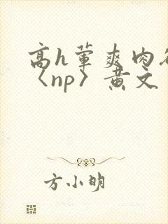 高h荤爽肉欲文〈np〉黄文
