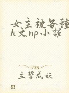女主被各种调教h文np小说