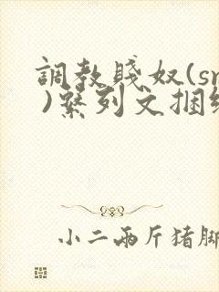 调教贱奴(sm )系列文捆绑