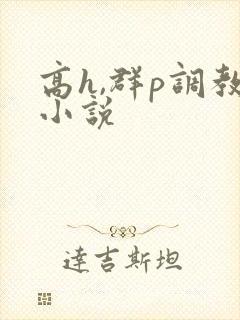 高h,群p调教小说