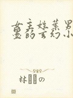 女主姓叶男主姓墨的玄幻小说封面