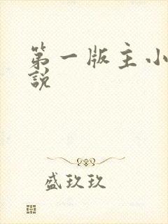 第一版主小网小说封面