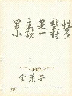 男主是双性人的小说一对多封面