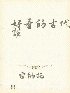 好看的古代h小说封面